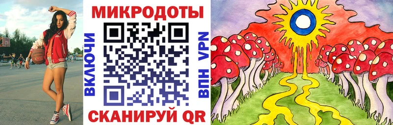 Псилоцибиновые грибы Psilocybe  Новый Оскол 