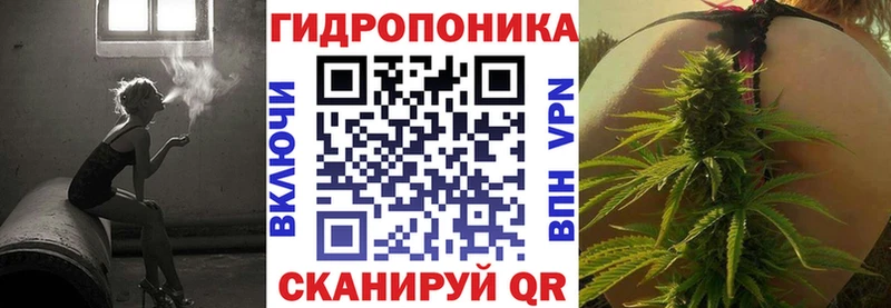 сайты даркнета какой сайт  Новый Оскол  Шишки марихуана план 